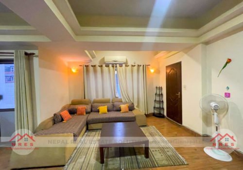 1 BHK Luxury Apartment For Rent in Kupondole