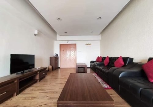 3 BHK full furnished Apartment for Rent