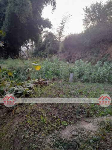 8 aana land for sale in Dakshinkali