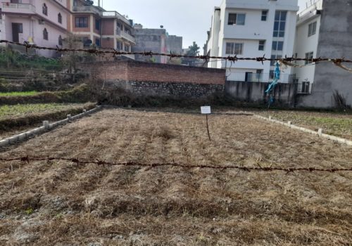 Land For Sale In Bhaisepati