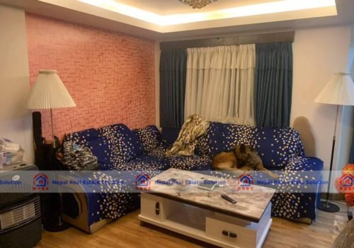 2BHK Fully Furnished Apartment For Sale In Hattiban