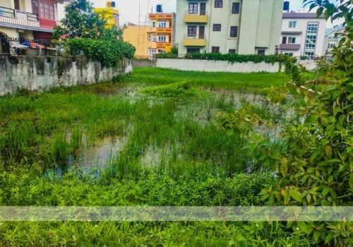 Land For Sale At Lalitpur