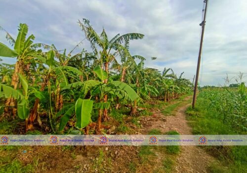 Land For Sale In Nijghad