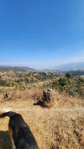Land for sale in Dakshinkali, Kathmandu