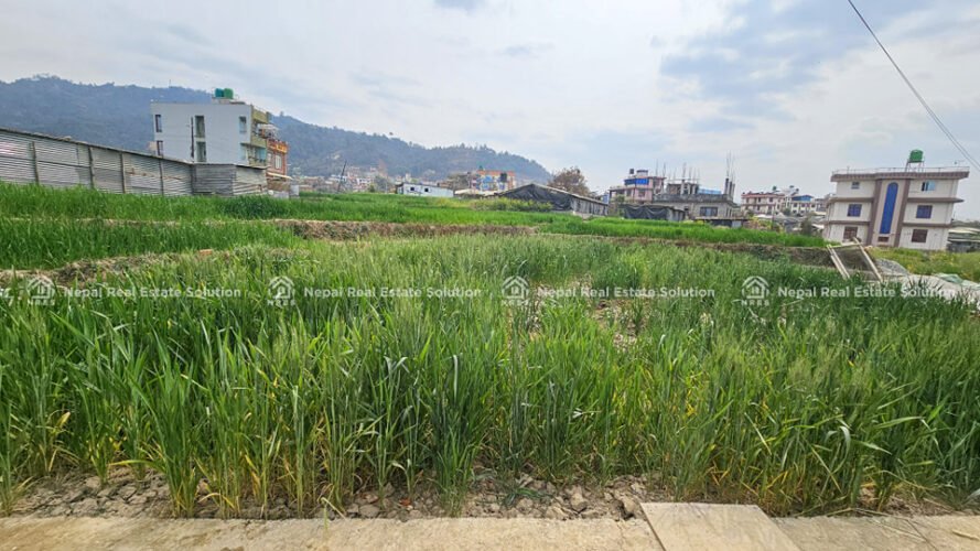 Land for sale in Mahalaxmi, Lalitpur