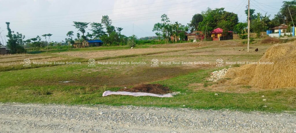 land for sale in jhapa
