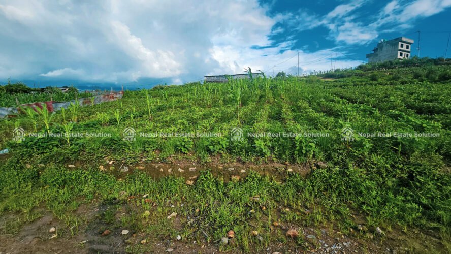 land for sale in Dhapakhel, Lalitpur
