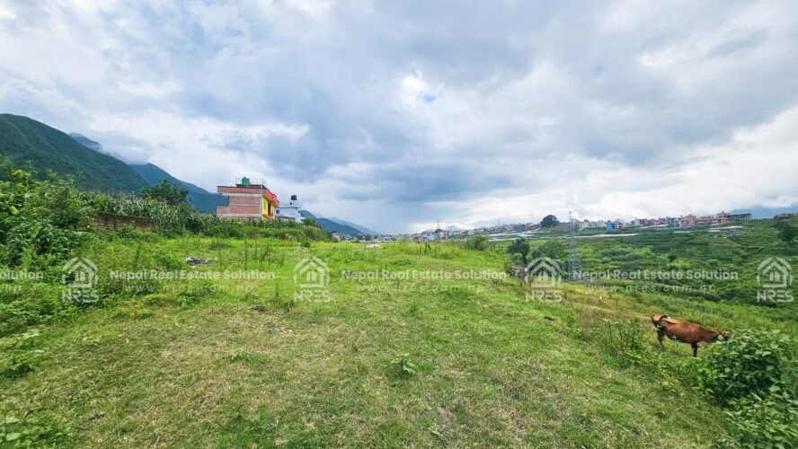land for sale in kritipur kathmandu