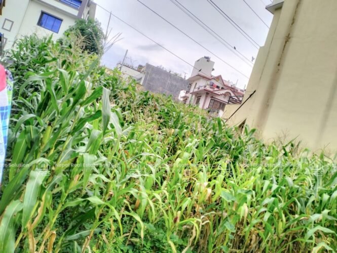 land for sale in Chandol, Kathmandu