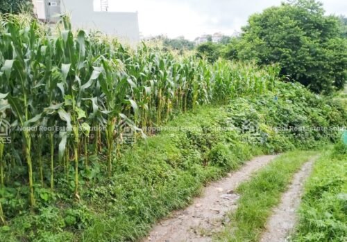 LAND FOR SALE
