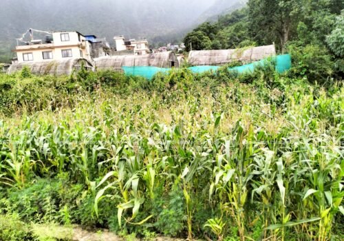 LAND FOR SALE