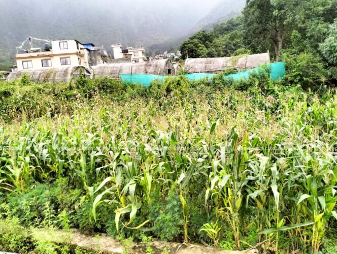 land for sale in Kritipur, Kathmandu