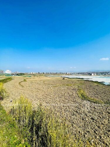 Land for sale in harisiddhi