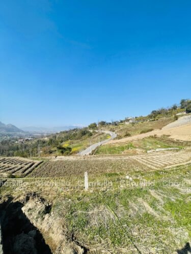 Land for sale