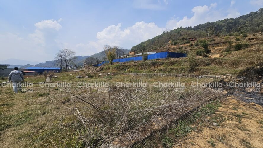 Land for sale in Lele
