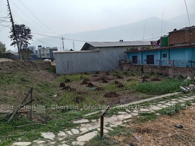 Land for sale