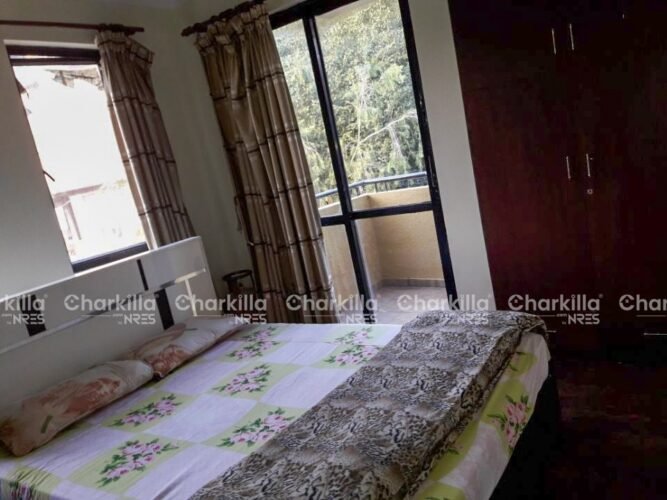 Studio Apartment For Rent in Thadodhunga Sanepa
