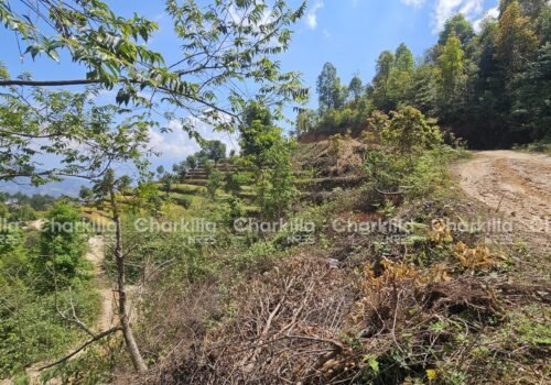 Farmhouse Land for Sale in Kathmandu