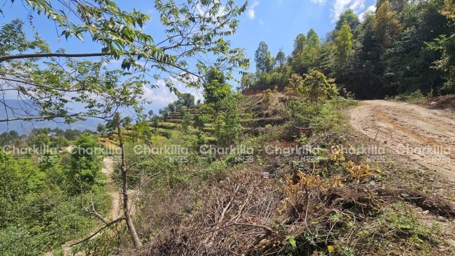 Land for slae in jarsinpauwa