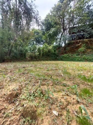 Land for sale