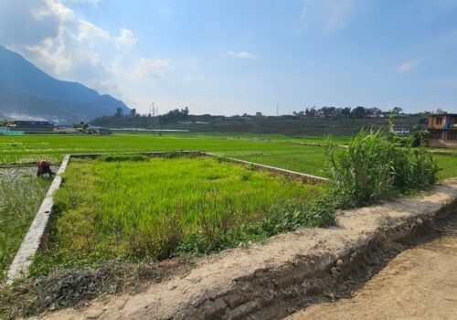 LAND FOR SALE