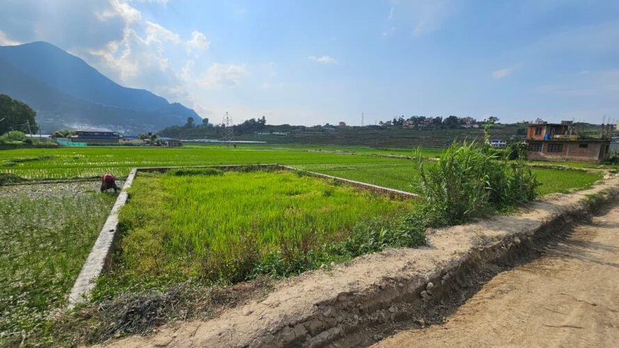 Land for sale in sikali