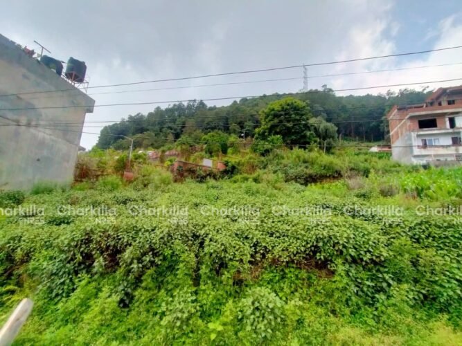 Land for sale