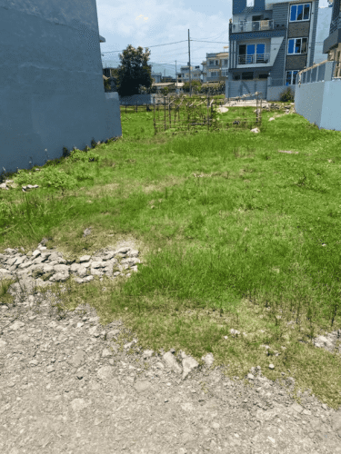 Land for sale in harisiddhi