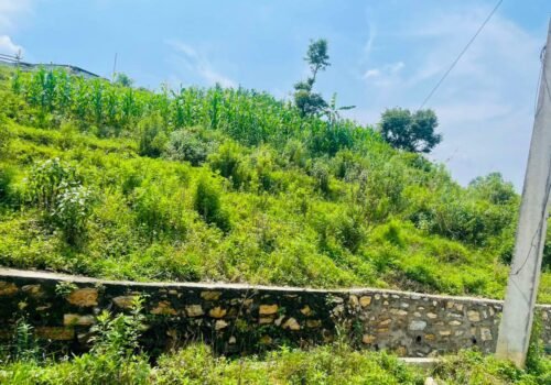11 Aana Prime Land for Sale in Sikali Marg, Khokana
