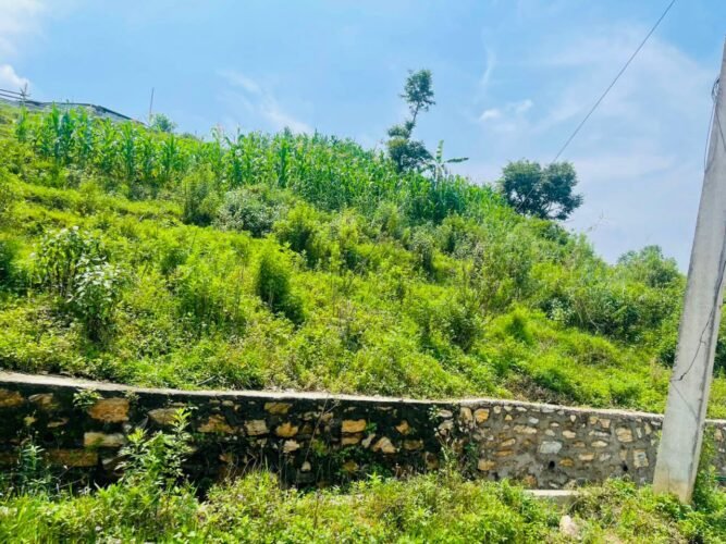 Land for sale in sikali marg