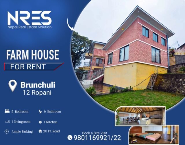 House for rent in burunchuli