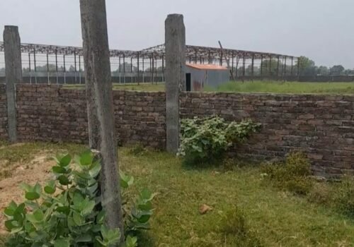 10 Katha Land for sale in Kapilvastu- 10 lakh per katha