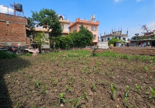 ❌Sold out❌4 aana 2 paisa 3 daam land for sale in Nakhudole- 50 lakh per aana