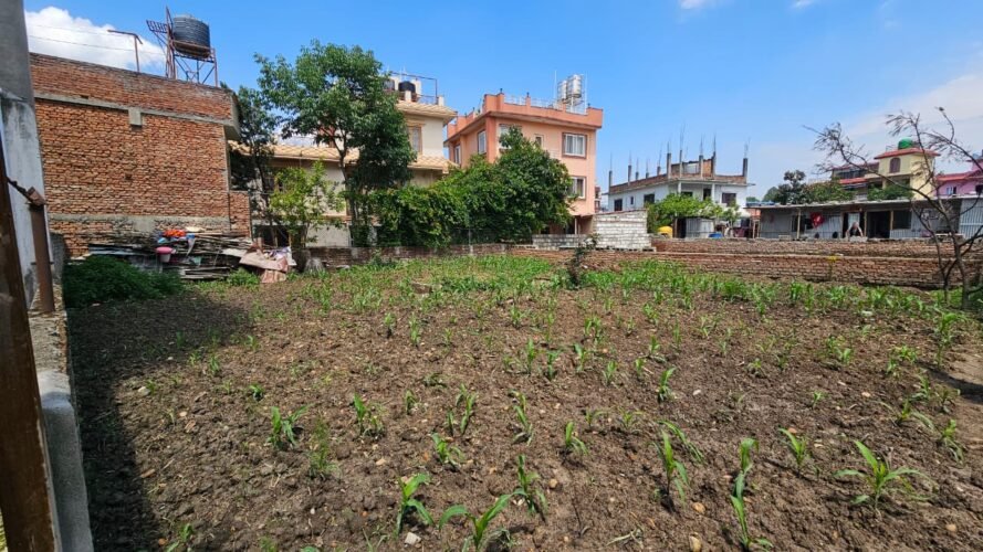 Land for sale in nakhudole