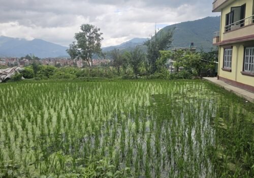 15 aana land for sale in Bhaisepati, Lalitpur