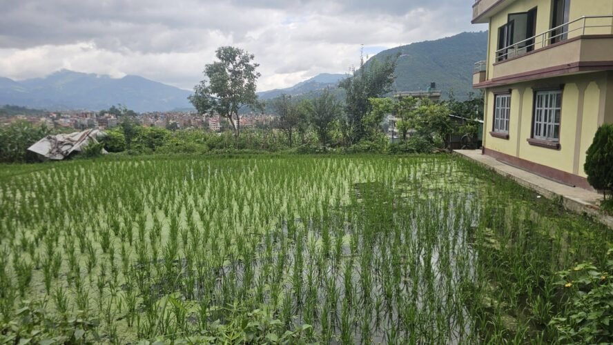 Land for sale in Bhaisepati