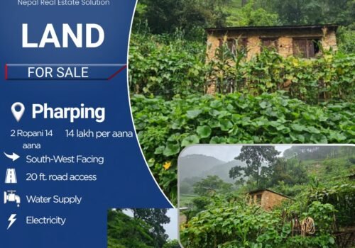2 Ropani 14 aana land for sale in Pharping- perfect for farmhouse, restaurant
