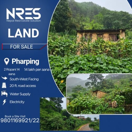 Land for sale in pharping