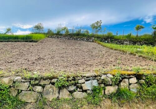 3 aana 2 paisa land for sale in Badikhel, Godawari