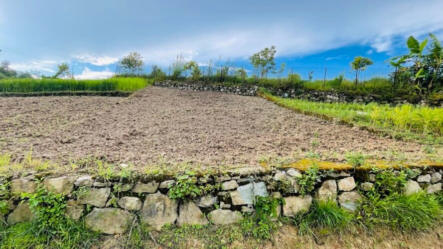Land for sale in badikhel