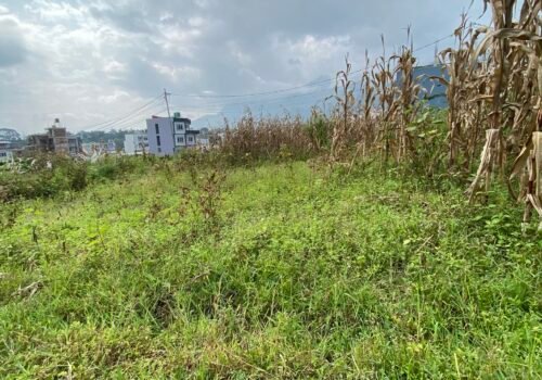 4 aana land for sale in Thankot, Surungmarg