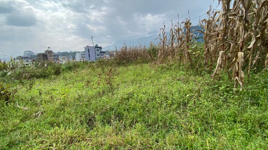 Land for sale