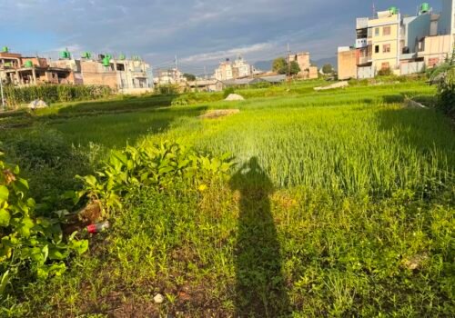 1 Ropani land for sale in Lubhu, Lalitpur