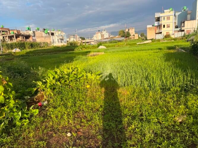 Land for sale