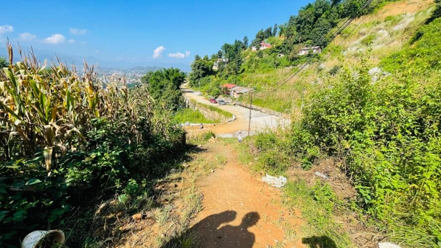 Land for sale