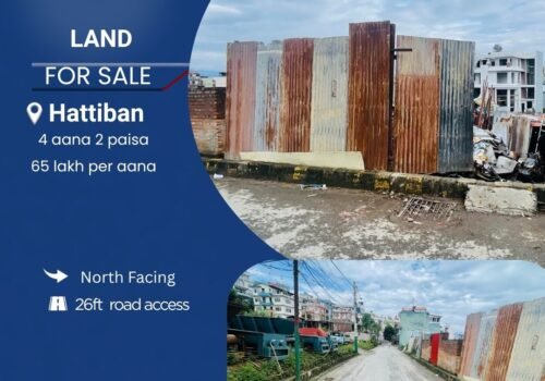 4 aana 2 paisa land for sale in Hattiban, Lalitpur
