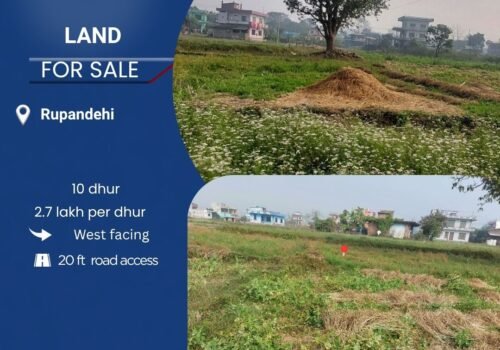 10 Dhur land for sale in Rupandehi