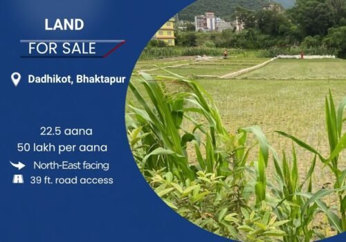 22.5 aana land for sale in Dadhikot, Bhaktapur