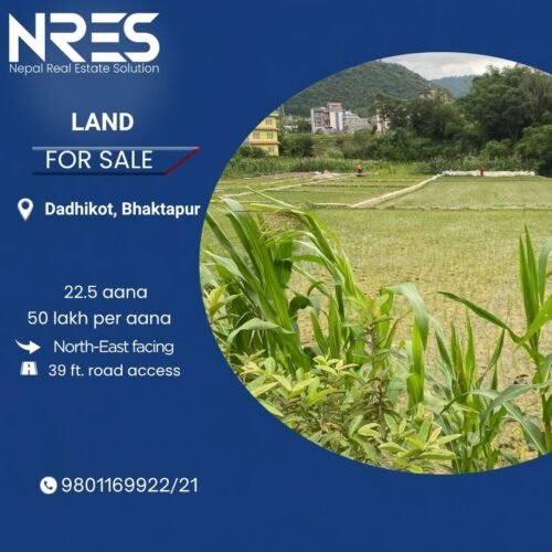 Land for sale in dadhitkot
