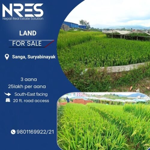 Land for sale in suryabainayak